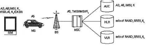 Figure 6: Distribution of Security Features in the GSM Network 