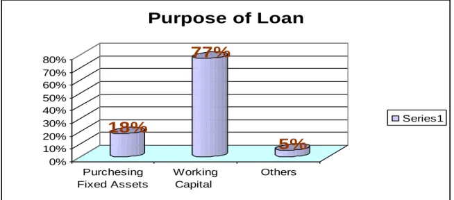 Figure 8: Purpose of SME loans of BBL. 