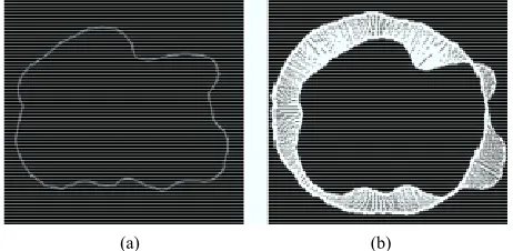 Figure 7. A Visualization of the signed deviation vector for placenta ID#243. (a) Boundary of P(243); (b) SDV of P(243)
