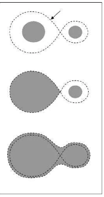 Figure 1.3: An illustration of the various conﬁgurations of close binary stars as given bythe Roche Model.