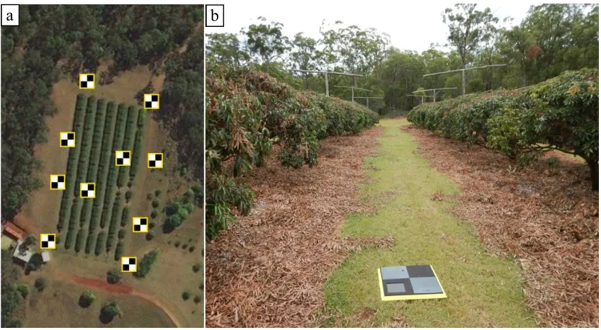 Figure 2. (a) Distribution and (b) in-situ field photo of AeroPoints used for geo-referencing of the UAV imagery