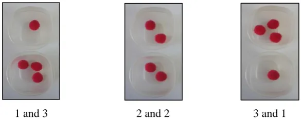 Figure 7. Different ways of placing 4 counters in 2 containers 