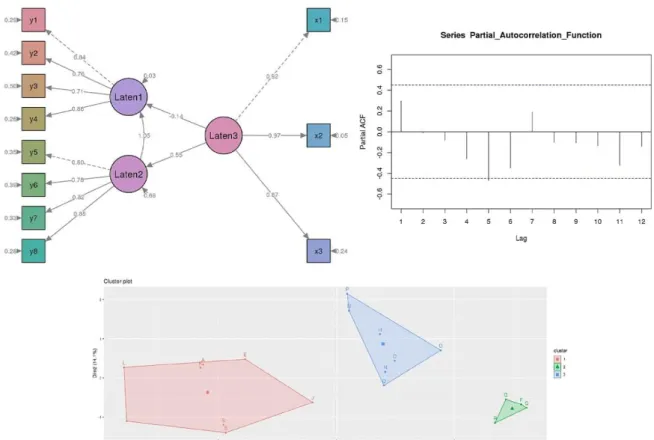 Figure 6. SEM plot, Cluster plot, and Time series plot of SWANSTAT 