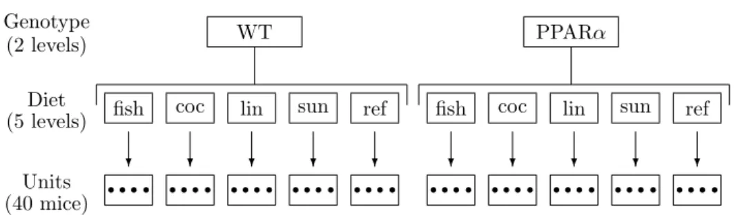Figure 2: Experimental design of the nutrition study.