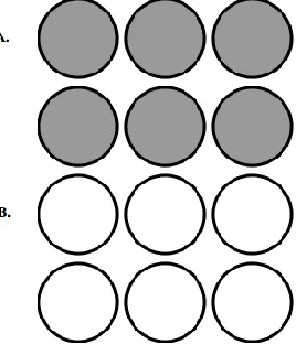 Figure 2.  Model of (-2)×(-3) using two-colored counters. 