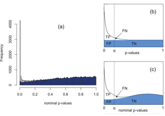 Figure 1 The Polyfit procedure. (A) Histogram of the nominal p-values calculated by DESeq for syn- syn-thetic data RNA-seq with 15% genes up- or down-regulated