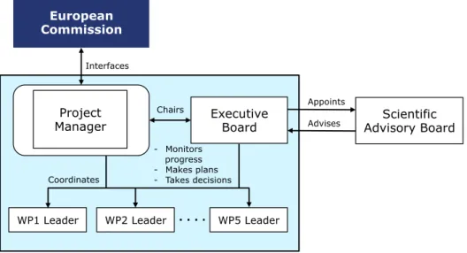 Figure 3-12: The “basic model” of an FP project’s management structure 