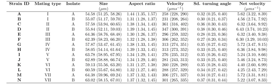 Table S2: Strain characteristics: morphology and Movement. We report median and quartiles of 3 replicates.