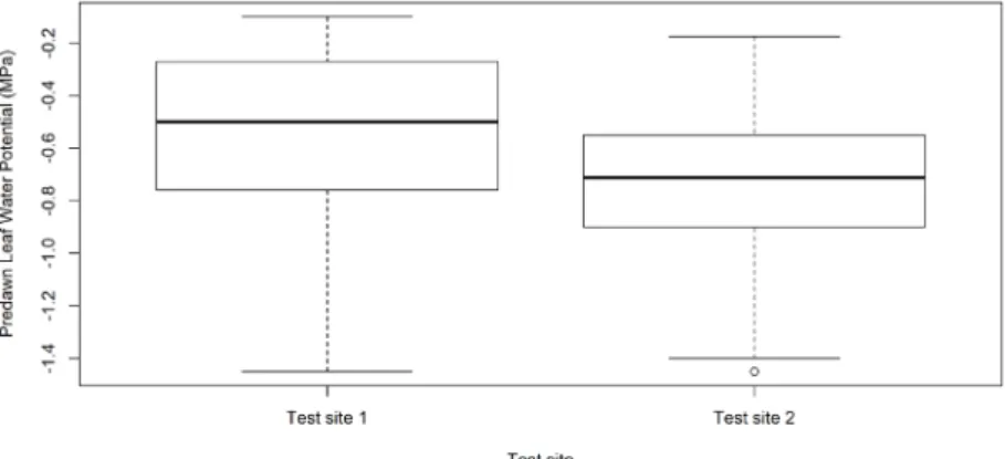 Fig. 3: Dispersion of predawn leaf water potential (MPa), represented by a boxplot for the test site.