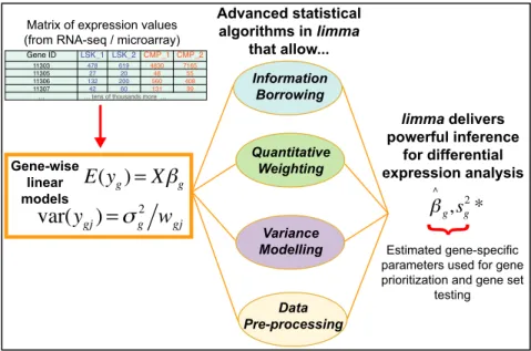 Figure 1. Schematic of the major components that are central to any limma analysis. For each gene g, we have a vector of gene expression values (y g ) and a design matrix X that relates these values to some coefficients of interest ( ␤ g )