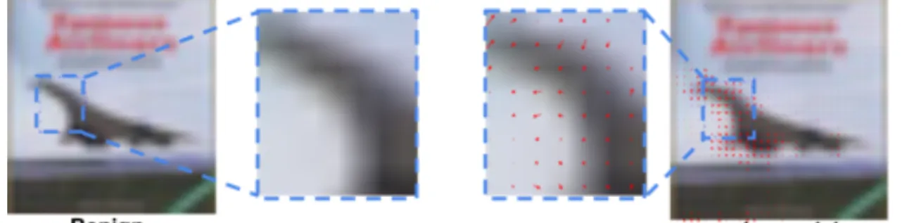 Figure 2.8: Flow visualization on CIFAR-10. An “airplane” image is misclassified as “bird”.