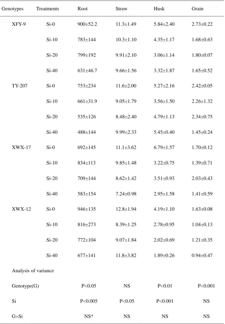 Table 1 Total As concentrations of four rice genotypes subjected to different treatments 