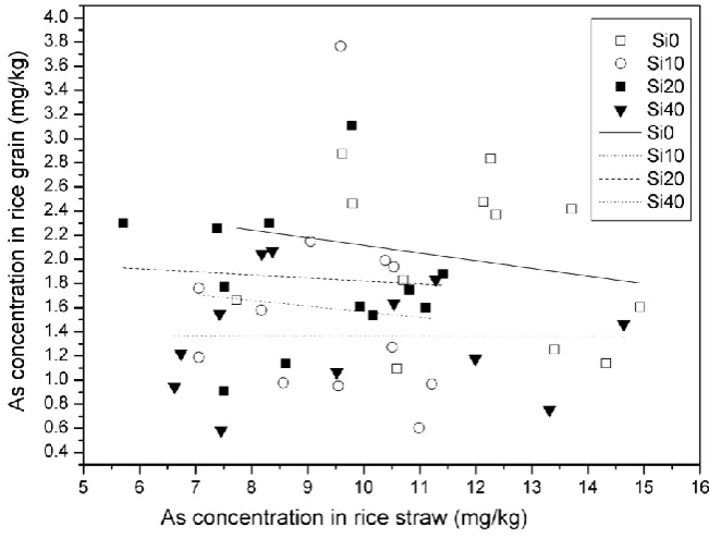 Fig. 3. The relationship between As concentration in straw and grain in rice 