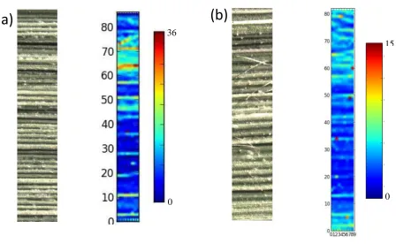Fig. 4. Synchrotron X-ray fluorescence (SXRF) images of As distribution in the 
