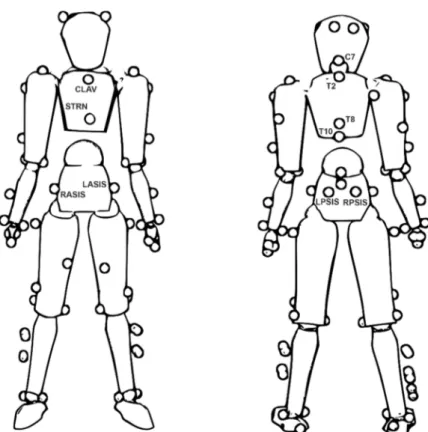 Figure 2. Whole body golfer model and marker locations. Labelled markers were used to track the  pelvis and thorax segments