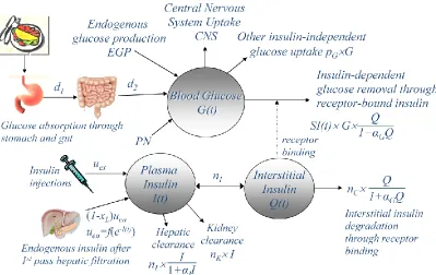 Figure 2.1. Schematic diagram of the ICING compartment model showing the compartments, kinetics and dynamics, appearance and clearance