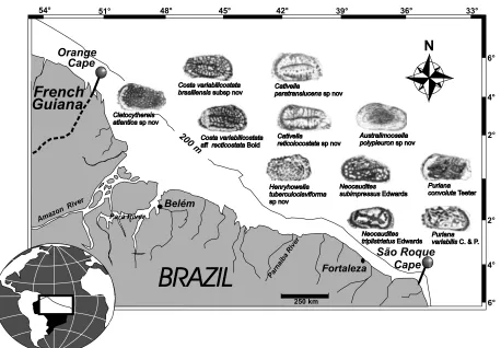 Fig. 2. Zoogeographical distribution of Trachyleberididae along the Brazilian Equatorial shelf.