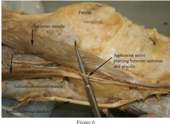 Figure 5 Figure 6 