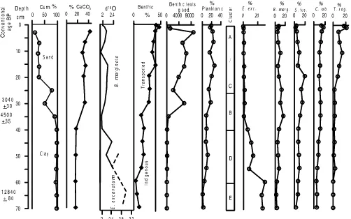 Fig. 3. Foraminiferal results. E. exc., Elphidium excavatum; B. marg., Bulimina marginata; S