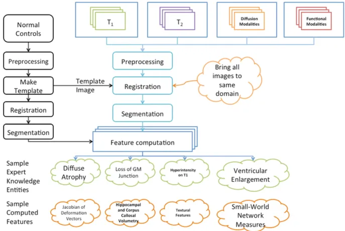 Fig. 3. Sample outline of a pipeline to identify key features in multi-modal imaging from patients with drug-resistant epilepsy.