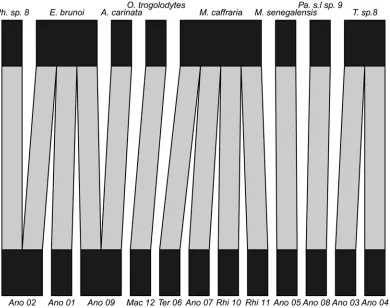 Fig 2. Bipartite hypogeic (below soil-surface) food web visualising ant predation on termites in rain forest in Gabon