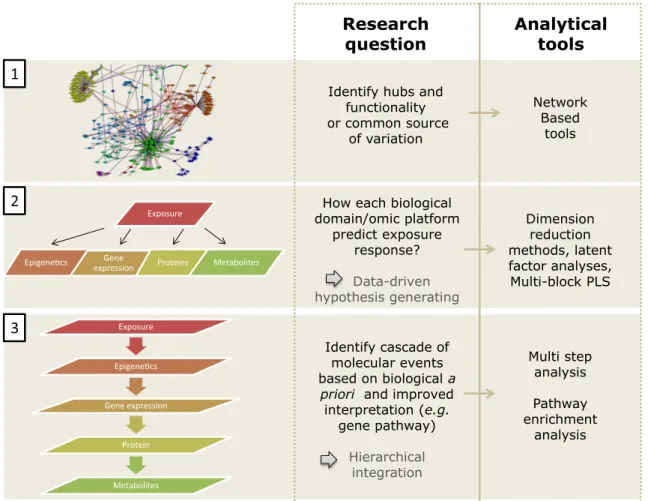 Fig. 1    Specific omics tools that can be used in exposome research