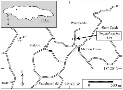 Fig. 1. Location of sample site in the Maldon Inlier (location in Jamaicainset).