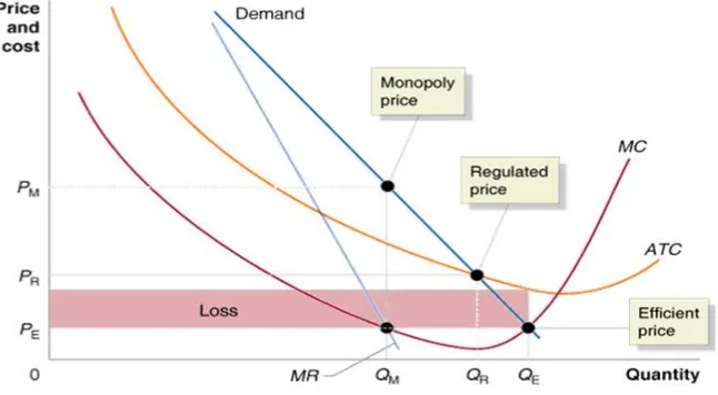 Figure N. 1: Average cost pricing in natural monopolies