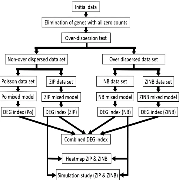 Figure 2: Computational work-flow of the study.