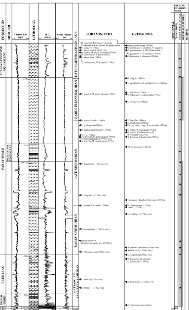 Fig. 2. Wireline log characteristics and stratigraphic summary of the Upper Triassic–Lower Jurassic of exploration well L134/5-1.