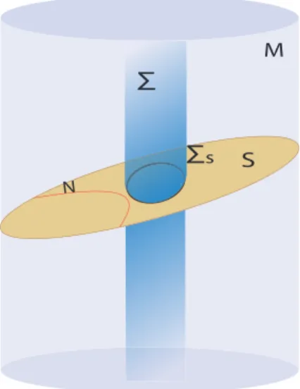 Figure 6: A spacetime M with a timelike barrier Σ, projected onto a spacelike codimension 1 totally geodesic slice S yields a compact barrier Σ S for extremal surfaces on S.