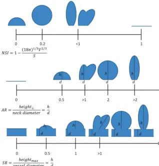 FIG 1. Morphologic indices used in this study, in addition to maximum diameter, volume, andsurface area