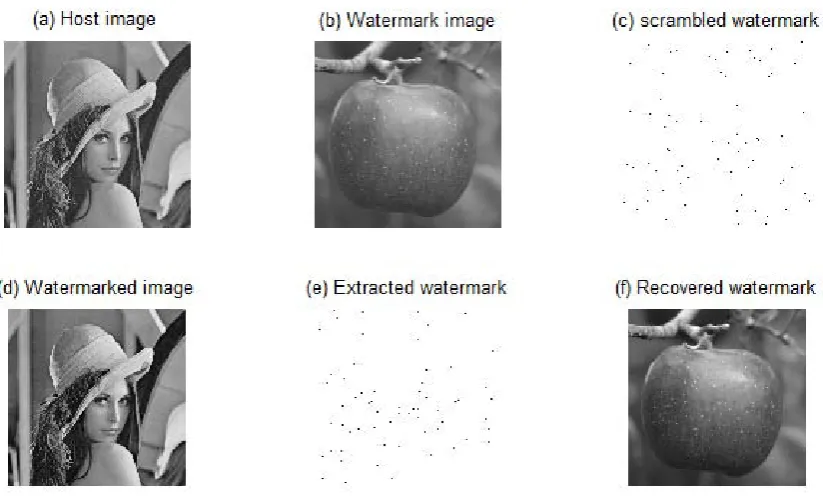 Figure 3. (a) Host image, (b) Watermark image, (c) Scrambled watermark, (d) Watermarked image, 