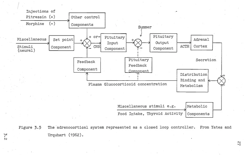 Figure 3.5 The 'adrenocortical system represented as a closed loop controller. 