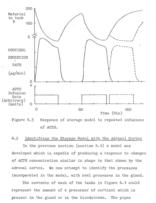 Figure 4.3 Response of storage ,model to repeated infusions 