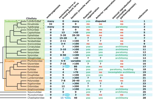 Fig. 5. Comparative table of the different modes of segment formation in the annelid tree