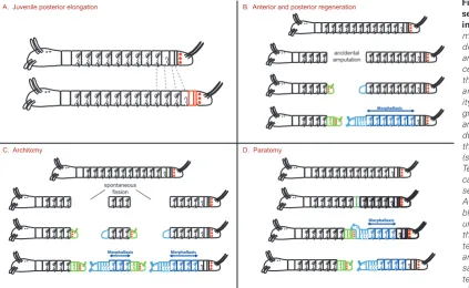 Fig. 6. A comparison of the 