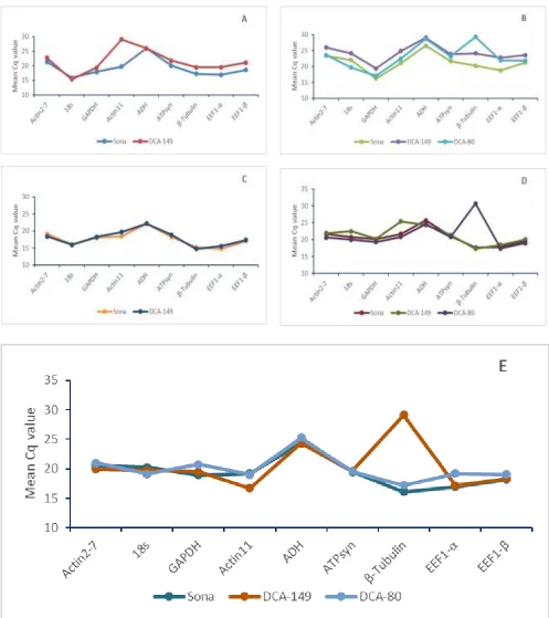 Figure 2: Average RNA transcription levels in different tissues presented as absolute Cq values in Senna (Cassia angustifolia)