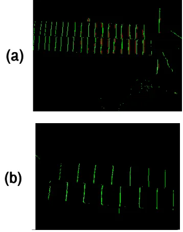 Figure 3. (a) Resulting images from the classical EMD model. (b) Resulting images from the emphasis EMD model 