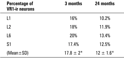 Table 2. Age-related changes in the percentage of L1, L2,L6 and S1 DRG neurones immunoreactive to VR1 in bothyoung adult and aged rats; *p < 0.05
