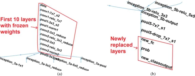Figure  1  GoogLeNet layers a) zoomed in GoogLeNet layer showing the first 10 layers whose weights are frozen before  training initialization, b) zoomed in GoogLeNet layer tree showing the newly replaced layers connected in the end 