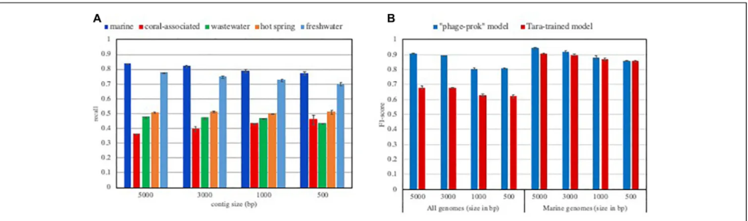 FIGURE 1 | Influence of the training set composition on the model performances. (A) Recall of VirFinder “phage-prok” model on viral contigs isolated in various aquatic ecosystems