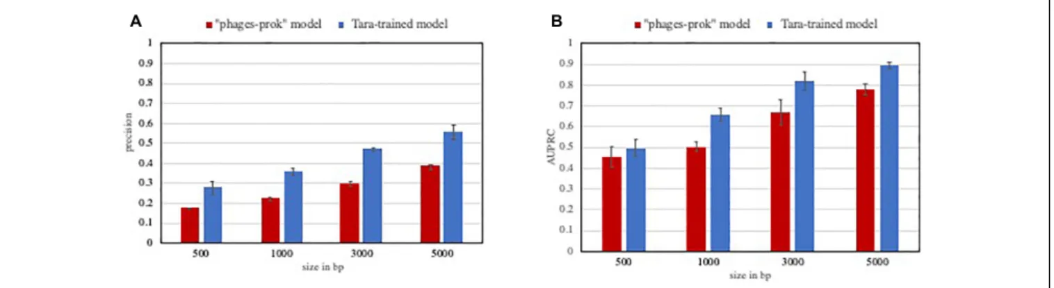 FIGURE 2 | Performance of classifiers on a low viral content evaluation set. The precision (A) and Area under the precision-recall curve (AUPRC) (B) was calculated for VirFinder “phages-prok” model and a Tara-trained model on an imbalanced marine evaluatio