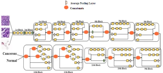 Figure 7. The Inception V3 architecture. 