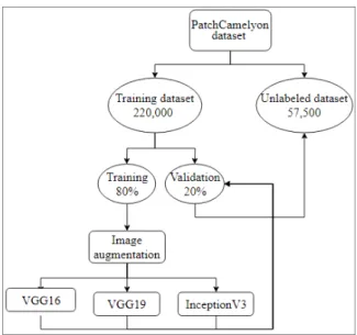 Figure 10. A schematic diagram of the proposed model. 