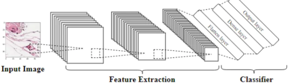 Figure 1. Convolutional neural network (CNN) diagram. 