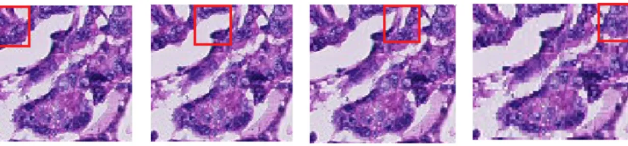 Figure 3. Convolution filter to extract features. 