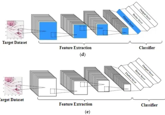 Figure 4. This figure shows different transfer learning techniques: (a) a generic CNN trained on  ImageNet dataset, (b) the first technique, in which the source weights are fixed and the original  classifier layers will be replaced by new layers to suit th