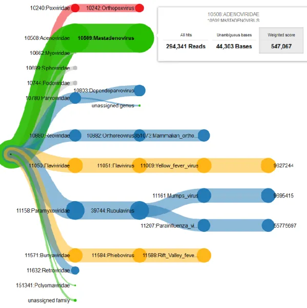 Figure 7 Example of the interactive taxonomic tree of results. It shows the visualized results of the  described  plasma  sample  at  cycle  80  based  on  the  weighted  score