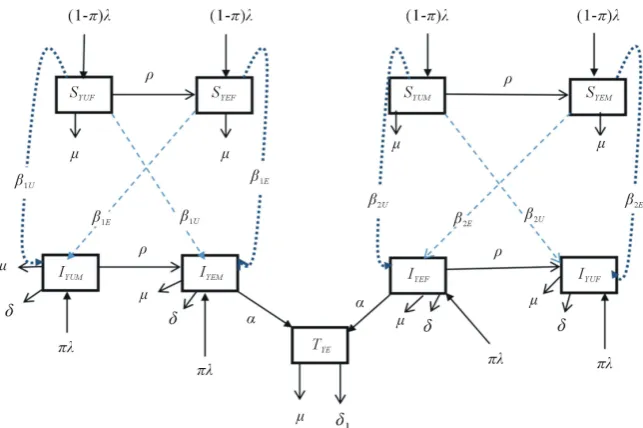 Figure 1. Proposed schematics of the compartmental model. 